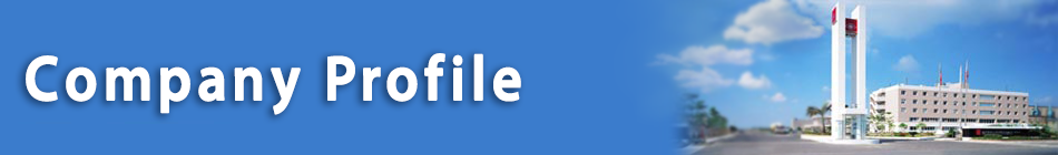 Company Profile